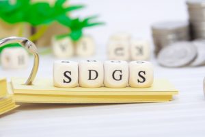 SDGs