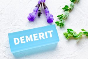 DEMERITデメリット