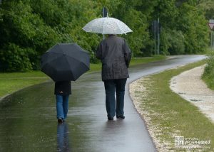 雨の日