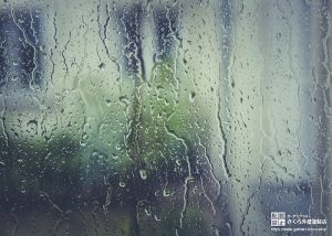 窓をうつ雨