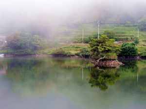 湿度が高い場所のイメージ