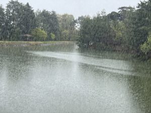 6月～9月頃の雨の多い季節