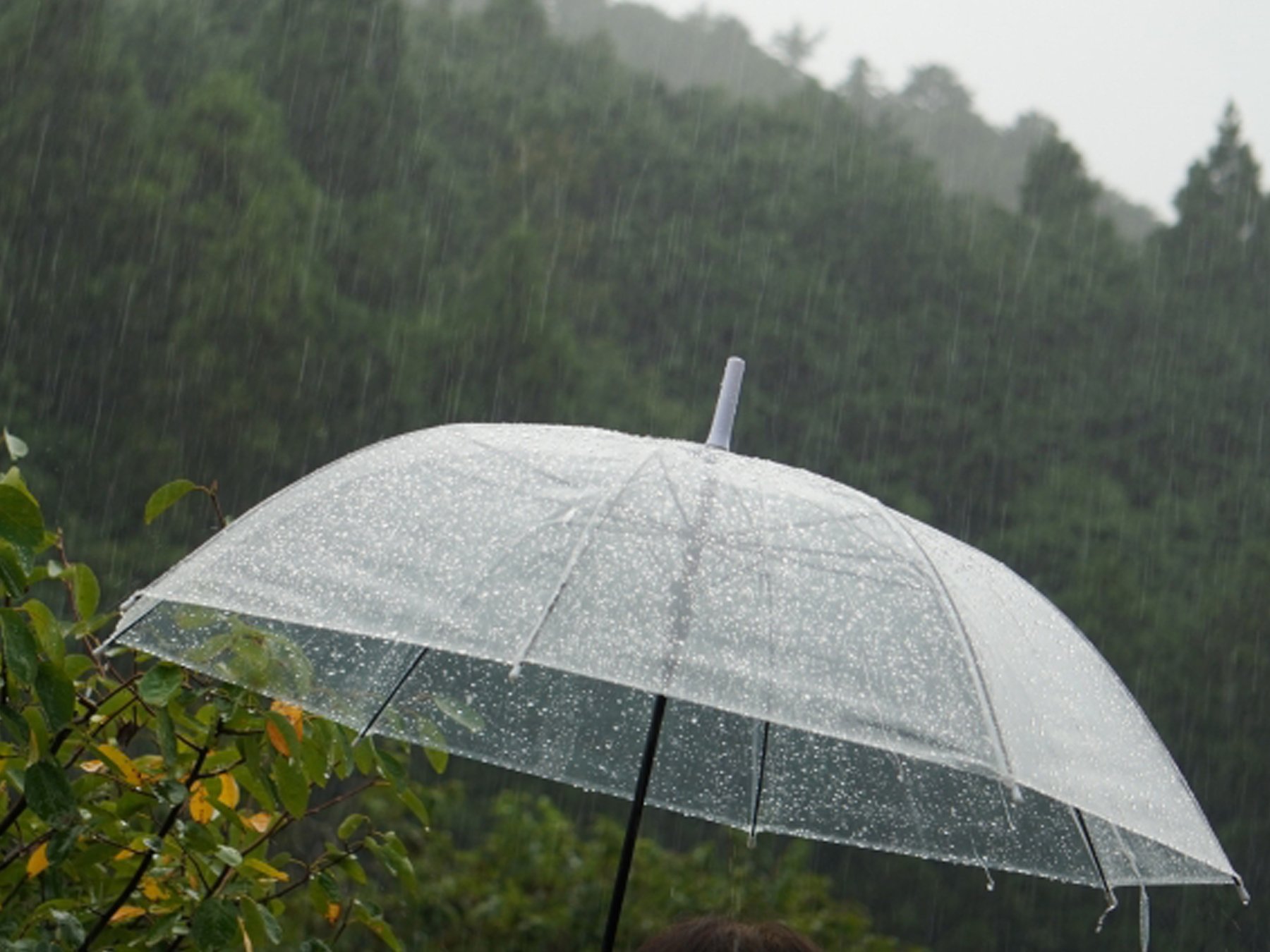雨が降り続く梅雨時期