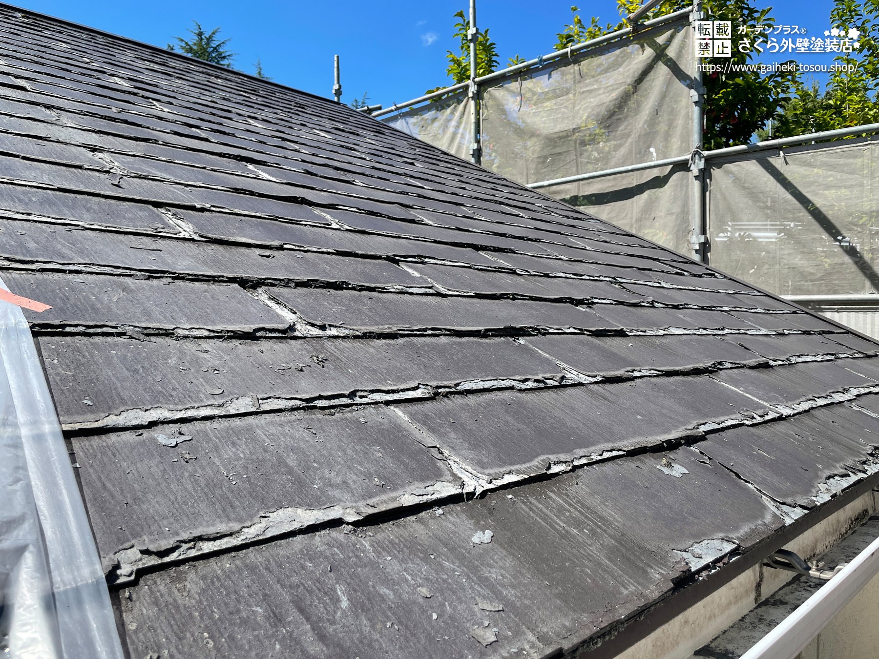 劣化が進んだ屋根のビフォー写真