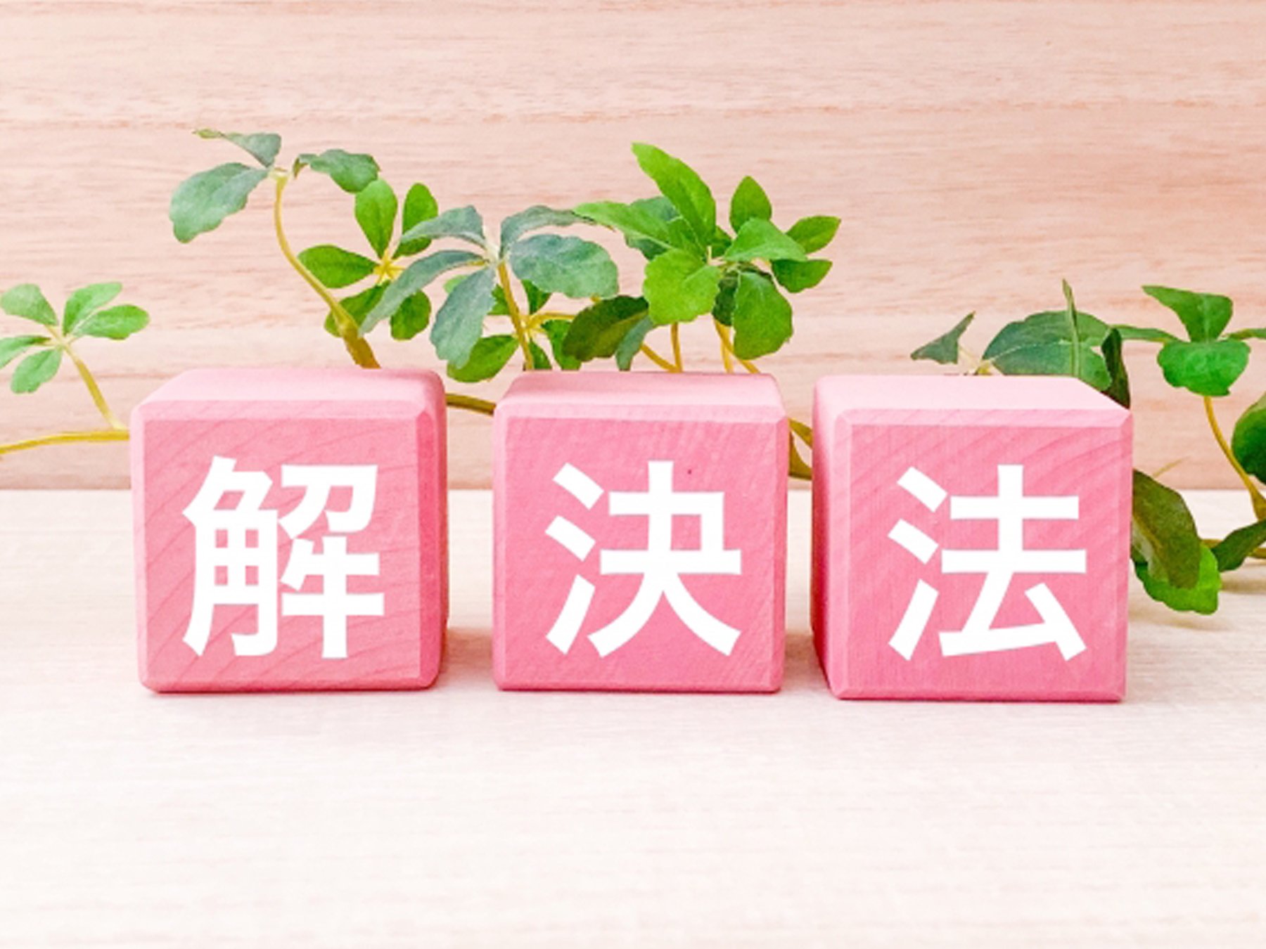 パミール屋根の問題に対する解決方法の解説