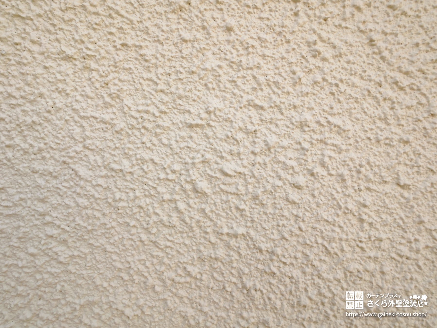 リシン仕上げのモルタル外壁