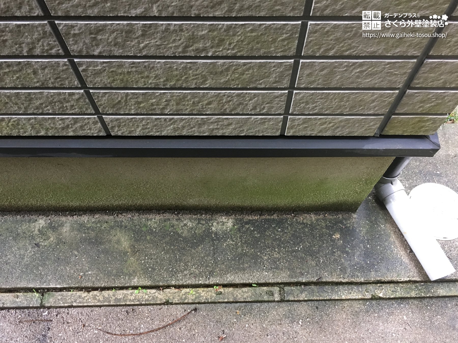緑色に汚れた基礎部分