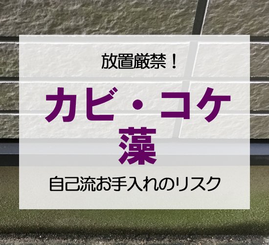 外壁のカビ・コケ・藻は放置厳禁！汚れが発生する原因と自己流メンテナンスの失敗例