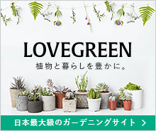 植物と暮らしを豊かに。LOVEGREEN 日本最大級のガーデニングサイト