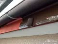 破風板塗装：雨樋に合わせてブラウンカラーに統一。 [塗装1回目]