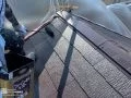 屋根上塗り