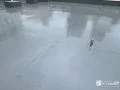 バルコニー 塗装後