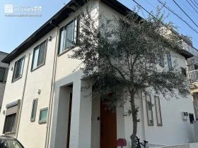 シンボルツリーが映えるナチュラルな外壁塗装工事