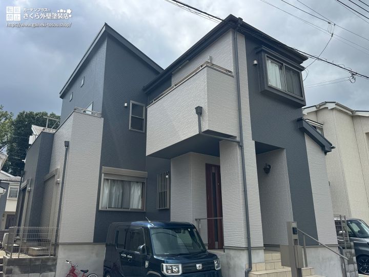 No.645 