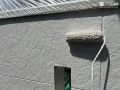 外壁塗装の様子 高圧洗浄で外壁表面の汚れを洗い落とし、新たに塗装を行いました[外壁 上塗り]