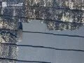 屋根塗装の様子 コケや風雨で劣化した屋根の補修と塗装を行いました[屋根_中塗り]