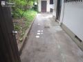 剪定後のお庭