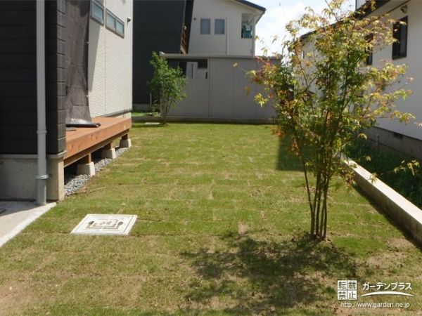 No.11453 モミジや芝生がくつろぎのひとときを生むお庭の植栽工事