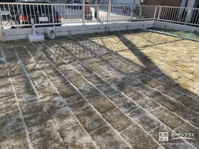 主庭は一面天然芝に