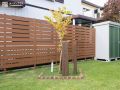 ハート形の葉がかわいいカツラも植栽。足元にはポールライトタイプの照明を設置。