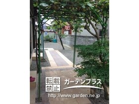 主庭
