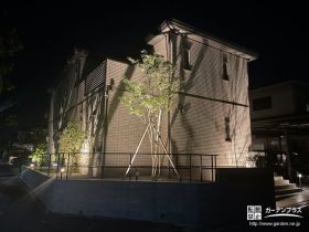 夜は植栽をライトアップ