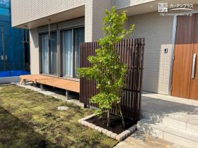モダンな建物にも合うカエデ