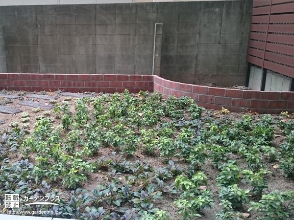 花壇リフォーム工事