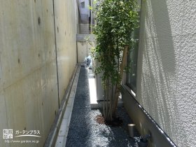 植栽と照明を設置して室内から楽しむ空間の裏庭