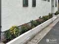 左官仕上げの花壇