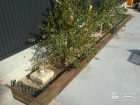 お住まいにガーデニングの楽しみを取り入れた古木の花壇