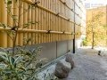 坪庭