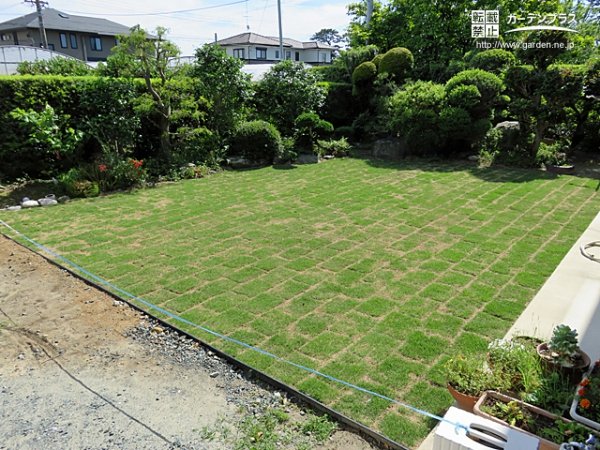 植栽と高麗芝のコントラストが心を穏やかにする癒しのガーデンリフォーム工事