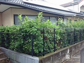 お庭の魅力ある植栽のさわやかさと風にそよぐ彩りを楽しめる外周フェンス