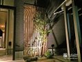 ライトアップされたシンボルツリー
