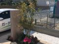 訪れる人を楽しませる植栽