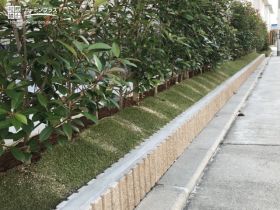 グリーンの生垣をより美しく演出する植栽スペースリフォーム工事