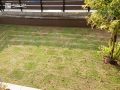 芝生を育てながら楽しむ主庭のリフォーム工事