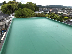 屋根の塗装とリフォーム 塗装色の提案 お見積り無料 さくら外壁塗装店 外壁塗装リフォーム工事専門店